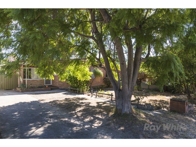 60 Archidamus Road, Coolbellup WA 6163