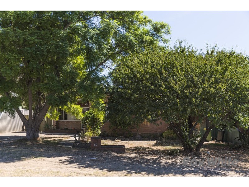 60 Archidamus Road, Coolbellup WA 6163