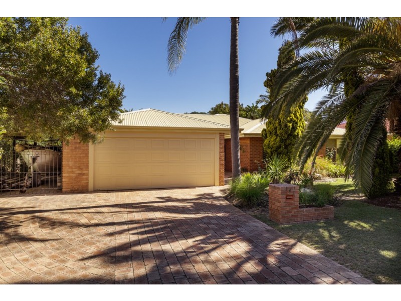 147 Le Souef Drive, Kardinya WA 6163