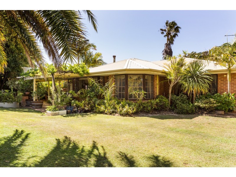 147 Le Souef Drive, Kardinya WA 6163