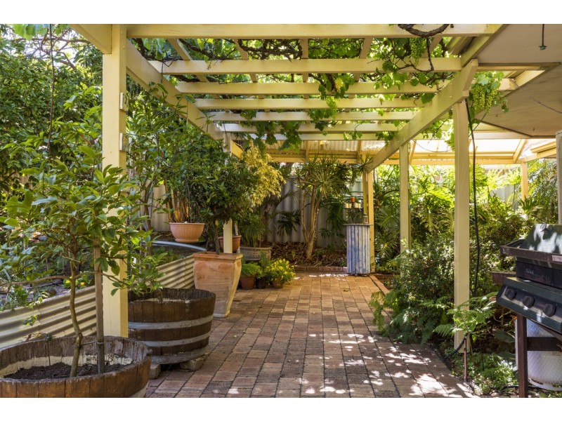 147 Le Souef Drive, Kardinya WA 6163
