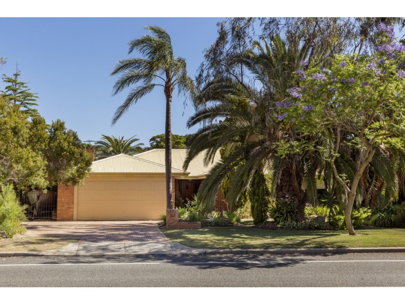 147 Le Souef Drive, Kardinya WA 6163