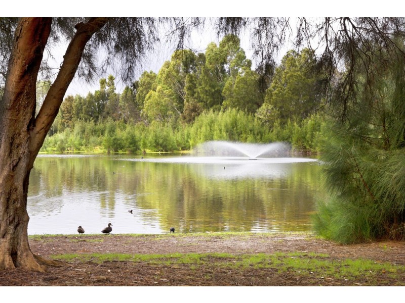 147 Le Souef Drive, Kardinya WA 6163