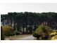 84 Le Souef Dr, Kardinya WA 6163