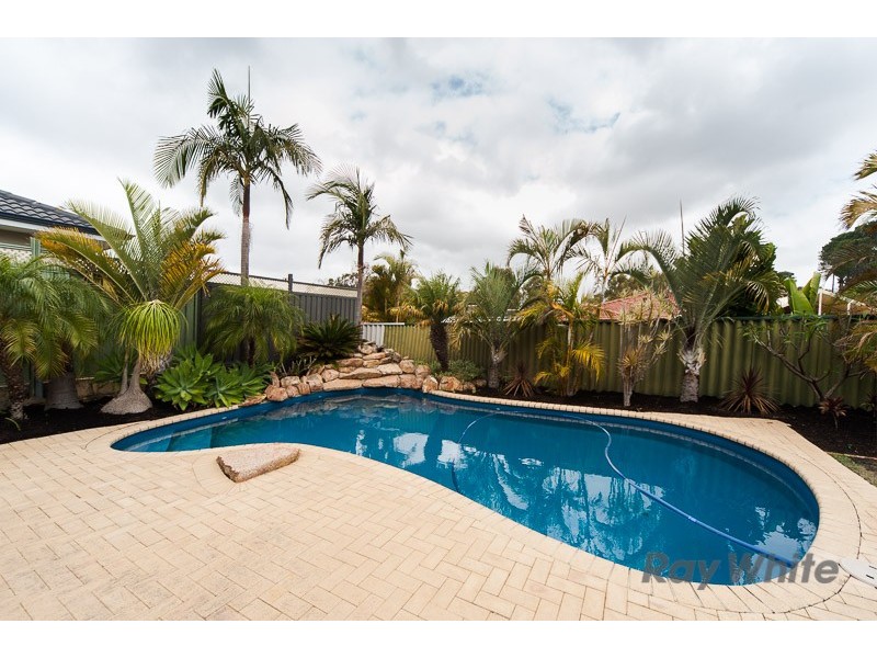 23 McMahon Way, Kardinya WA 6163