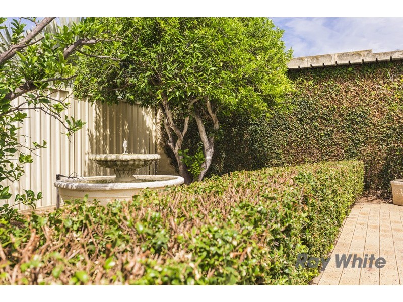 29 Amberley Way, Hamilton Hill WA 6163