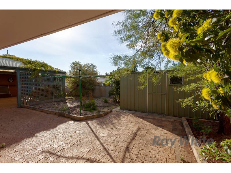 1 Ochiltree Way, Kardinya WA 6163