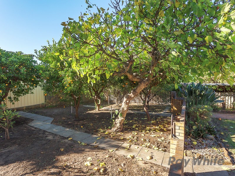 71 McBeth Way, Kardinya WA 6163