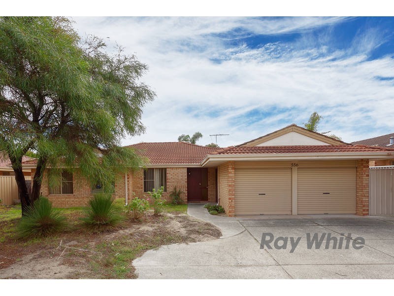 556 Marmion Street, Booragoon WA 6154