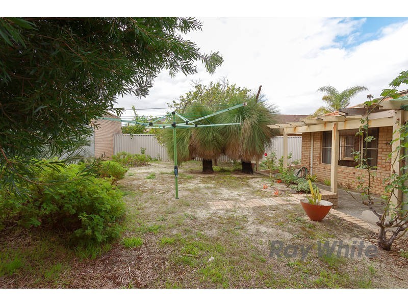 556 Marmion Street, Booragoon WA 6154
