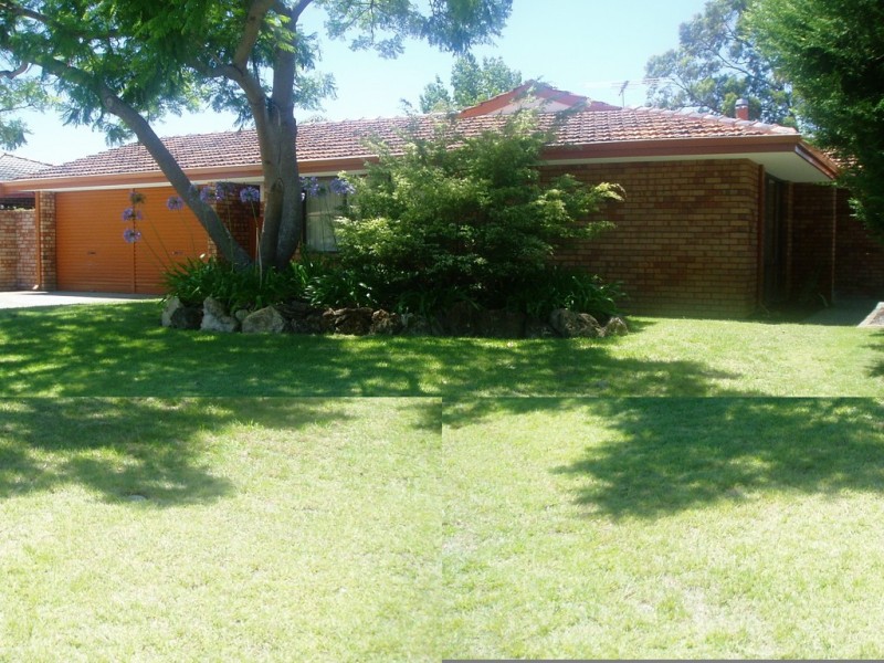 12 Mallard Avenue, Bibra Lake WA 6163