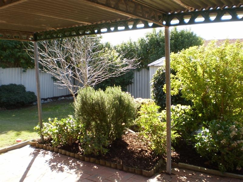 1B Hamersley Way, Kardinya WA 6163