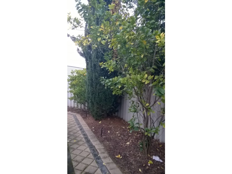 81 Arkwell Street, Willagee WA 6156