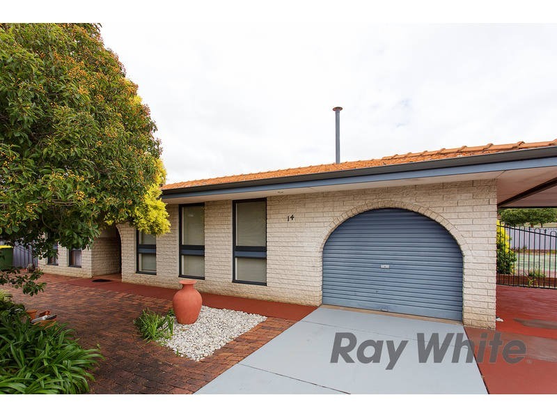 14 Williamson Rd, Kardinya WA 6163
