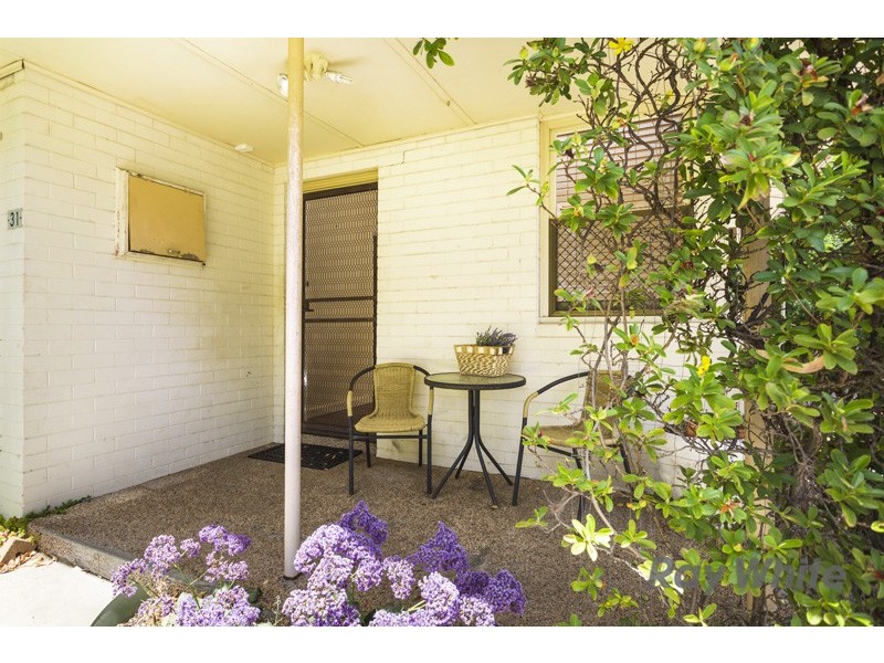 31 Curven Road, Hamilton Hill WA 6163