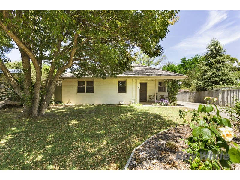 31 Curven Road, Hamilton Hill WA 6163