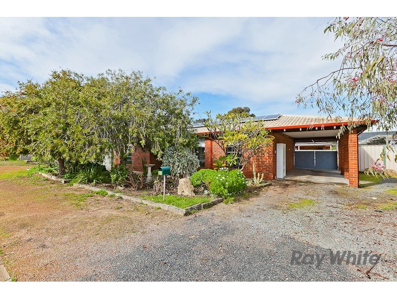 17 Lawrence Way, Samson WA 6163