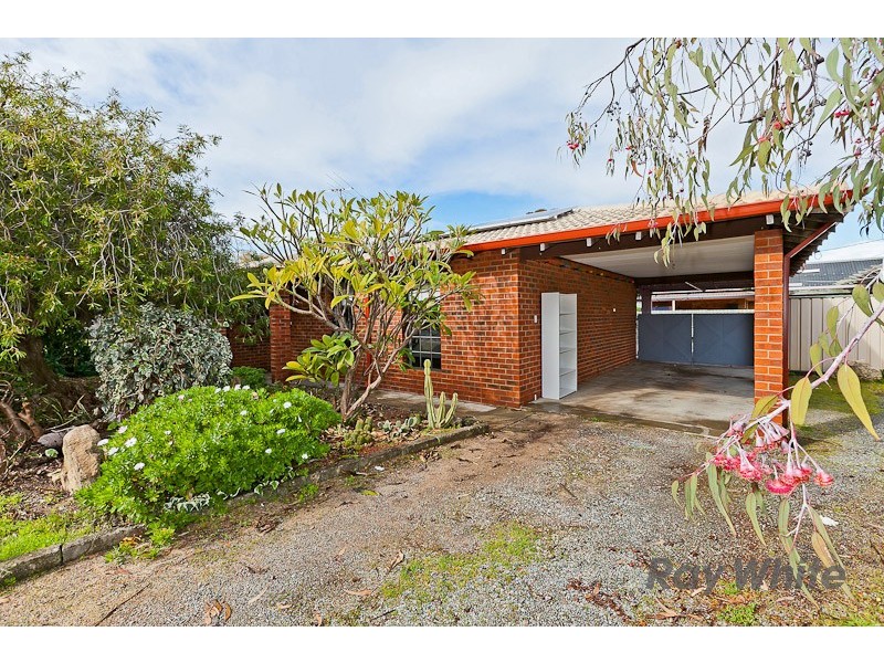 17 Lawrence Way, Samson WA 6163