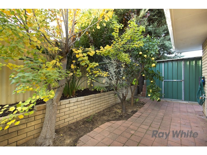 49A Hanrahan Loop, Kardinya WA 6163