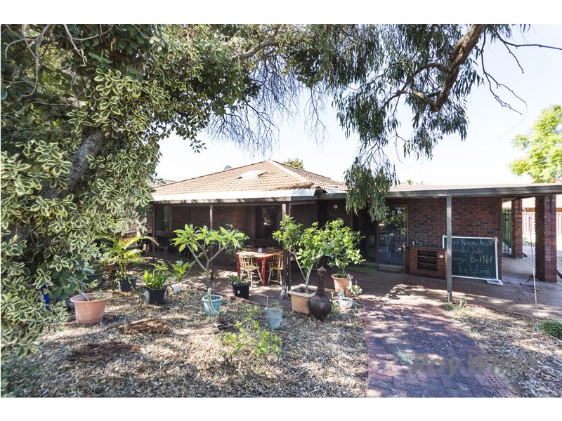 1 Gillett Drive, Kardinya WA 6163