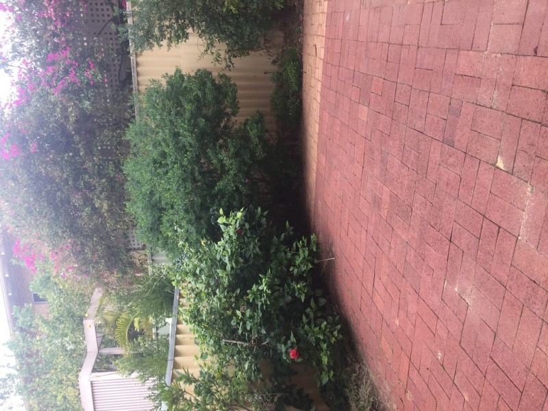 4/15 Myers Street, Crawley WA 6009