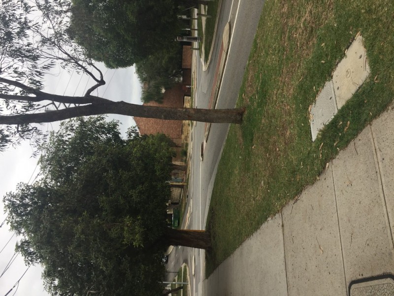 4/15 Myers Street, Crawley WA 6009