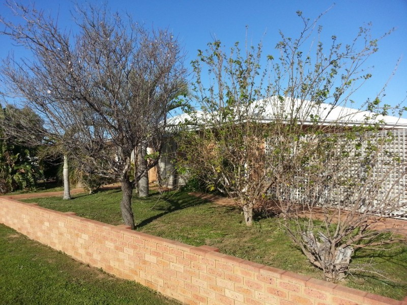 10 TUART STREET, Leeman WA 6514