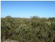 LOT 2 WREN WAY, Jurien Bay WA 6516