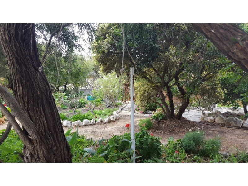 7 Kau Street, Green Head WA 6514