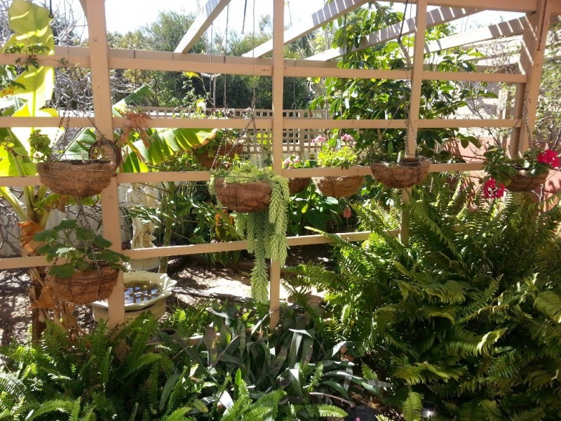 61 SEVILLE STREET, Cervantes WA 6511