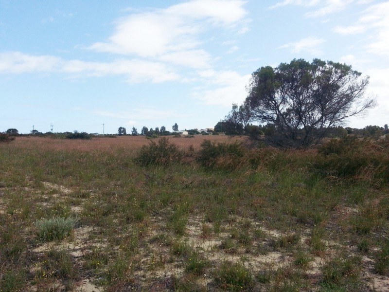 Lot 61 Cambewarra Drive, Jurien Bay WA 6516