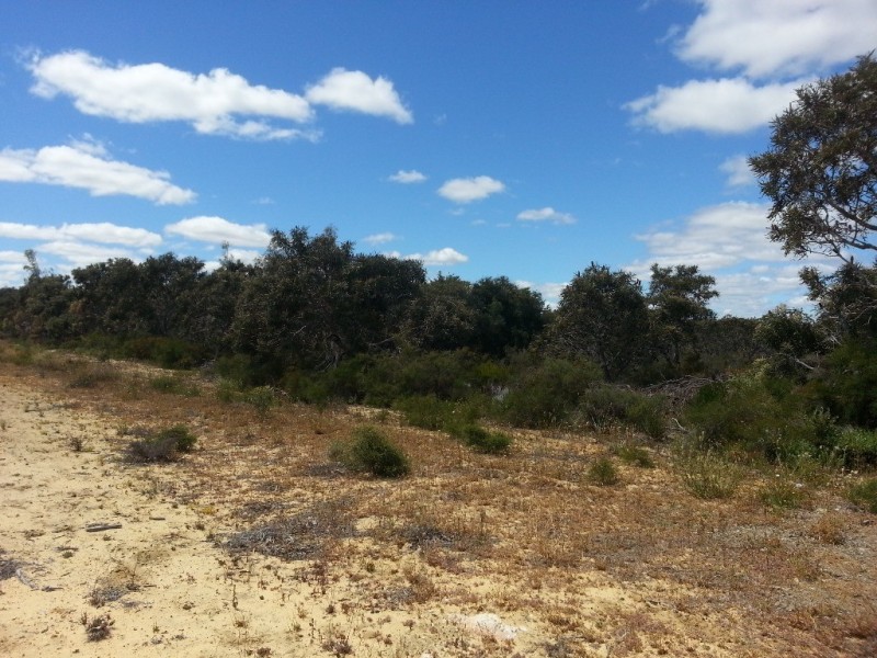 LOT 165 JURIEN BAY VISTA, Jurien Bay WA 6516