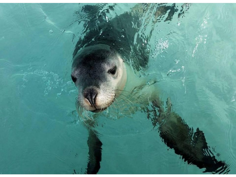 19 Whiteman St, Green Head WA 6514