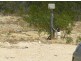 LOT 56 RIVER LOOP, Jurien Bay WA 6516