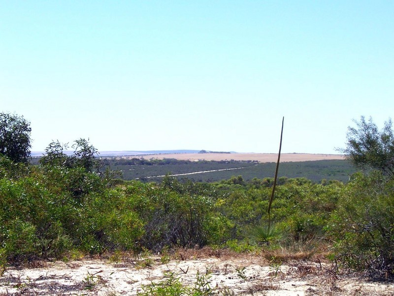 LOT 56 RIVER LOOP, Jurien Bay WA 6516