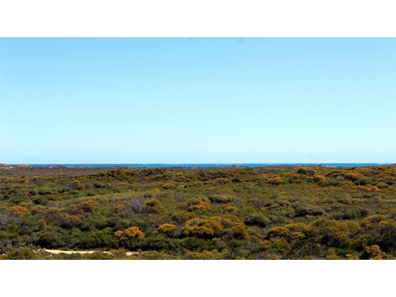 63 Homestead Loop, Jurien Bay WA 6516