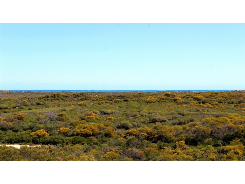 63 Homestead Loop, Jurien Bay WA 6516