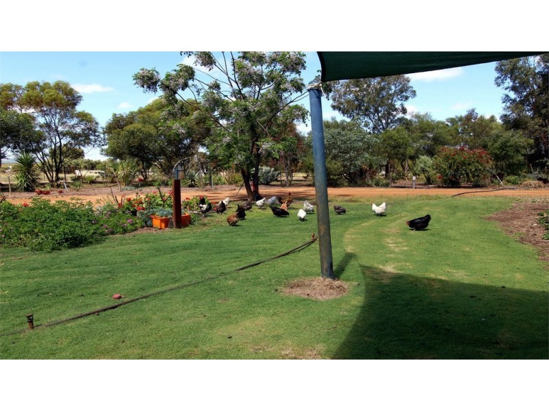 132 Flying Foam Way, Jurien Bay WA 6516