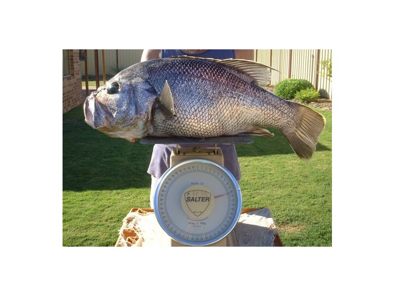 20 (LOT 652) MEELUP DRIVE, Jurien Bay WA 6516