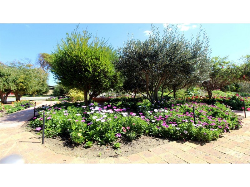 20 Heales Way, Green Head WA 6514