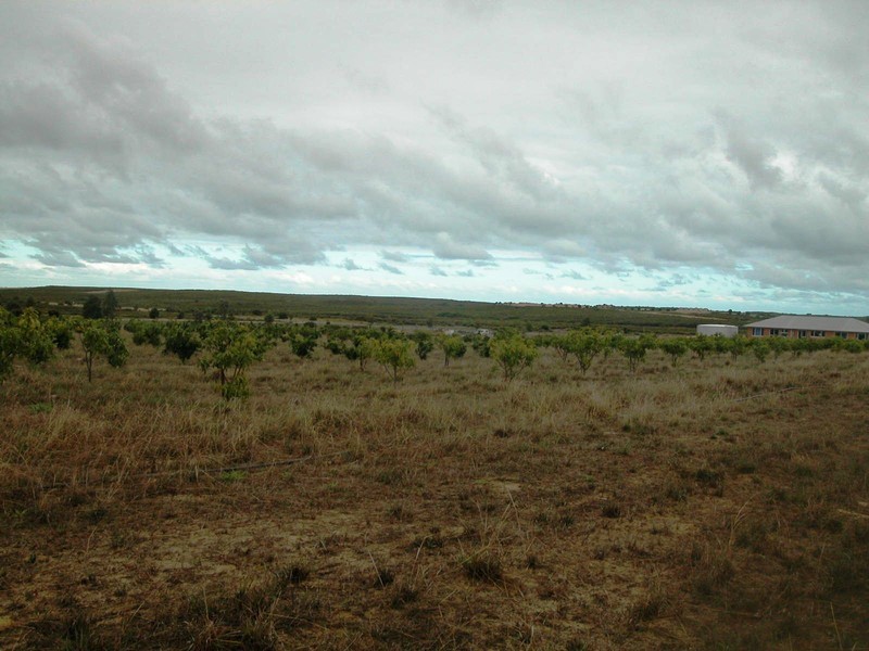 LOT 102 CNR CANOVER ROAD, Jurien Bay WA 6516