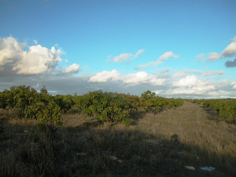 LOT 102 CNR CANOVER ROAD, Jurien Bay WA 6516