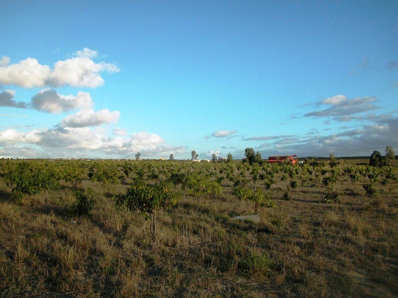 LOT 102 CNR CANOVER ROAD, Jurien Bay WA 6516