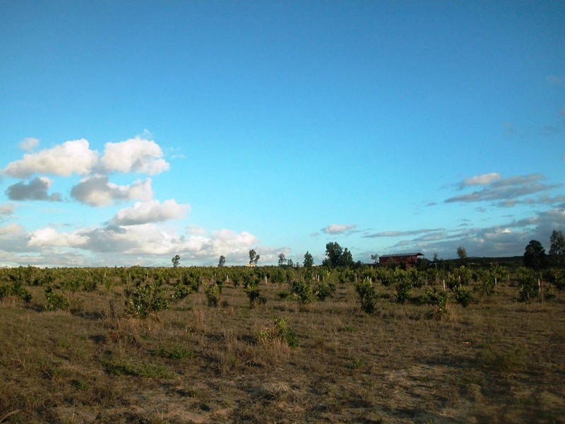 LOT 102 CNR CANOVER ROAD, Jurien Bay WA 6516