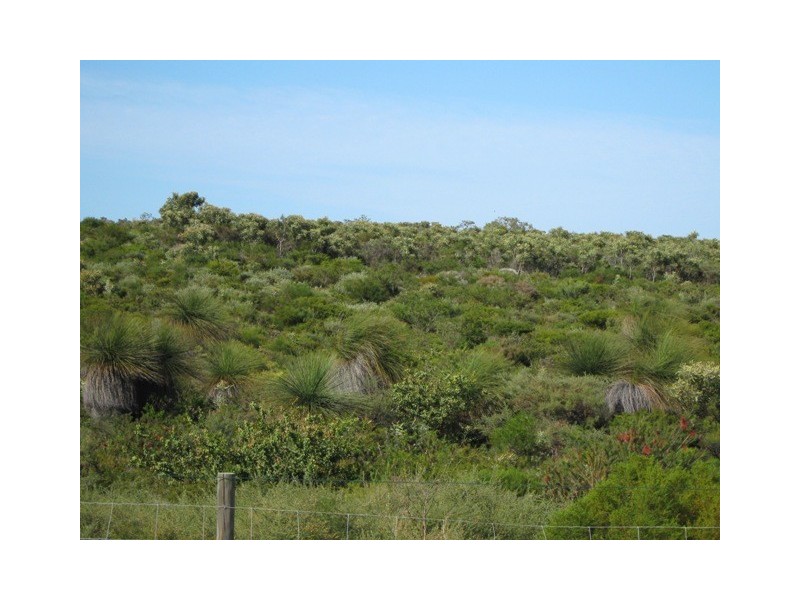Lot 301 SULINA CRESCENT, Jurien Bay WA 6516