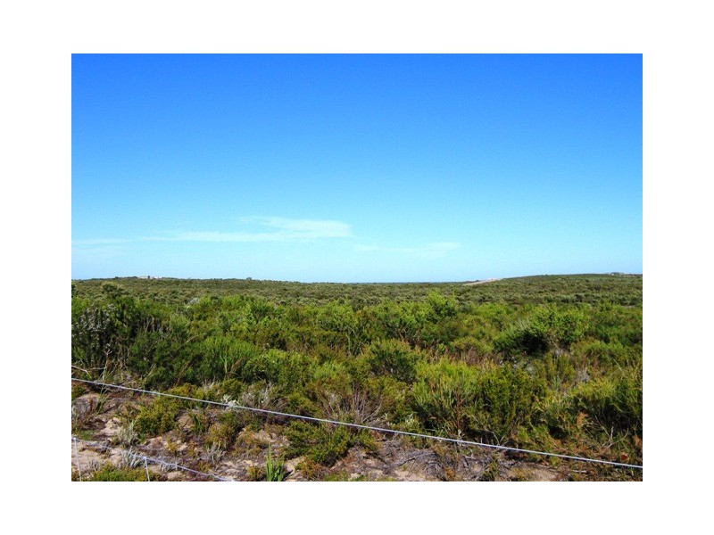Lot 301 SULINA CRESCENT, Jurien Bay WA 6516
