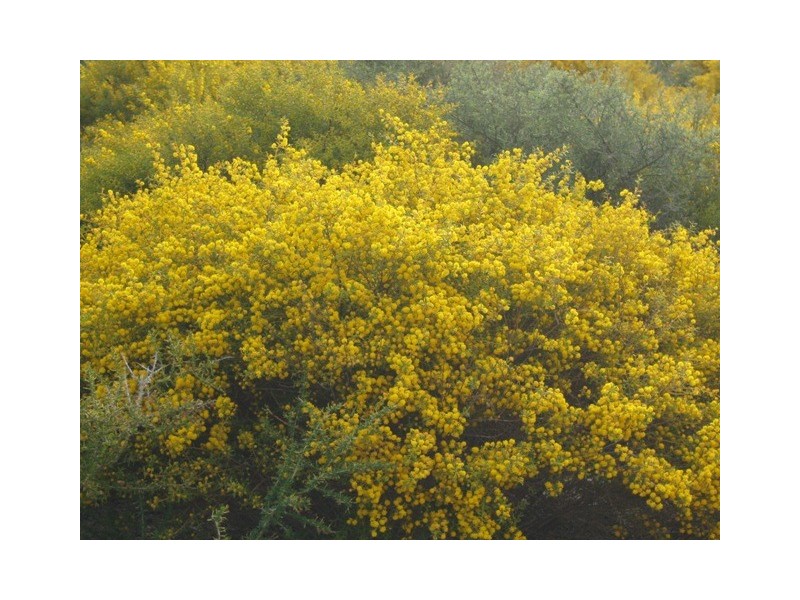 Lot 301 SULINA CRESCENT, Jurien Bay WA 6516