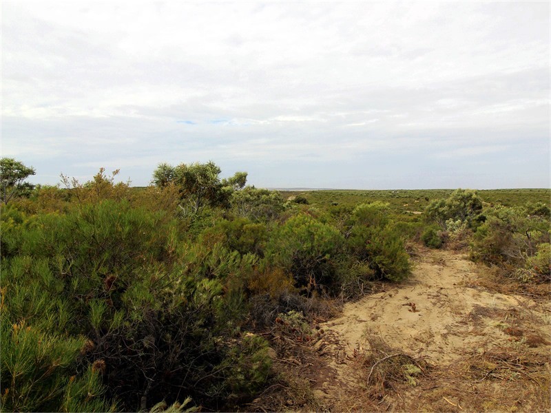 Lot 301 SULINA CRESCENT, Jurien Bay WA 6516