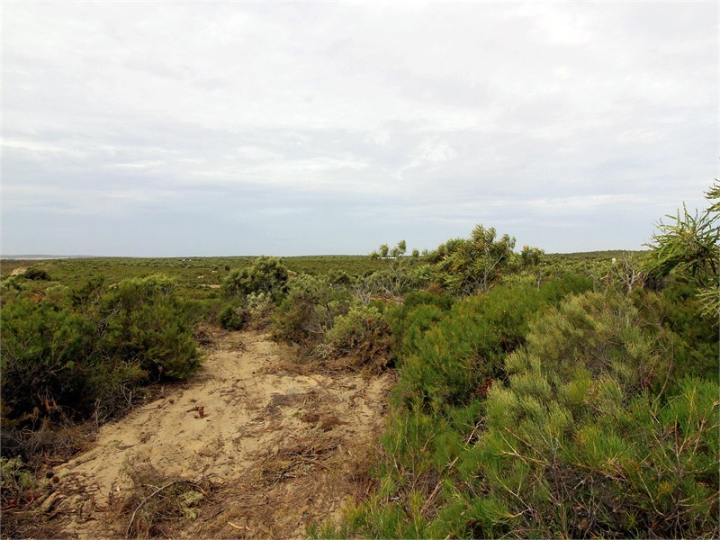 Lot 301 SULINA CRESCENT, Jurien Bay WA 6516