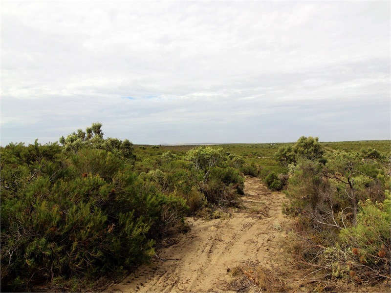 Lot 301 SULINA CRESCENT, Jurien Bay WA 6516